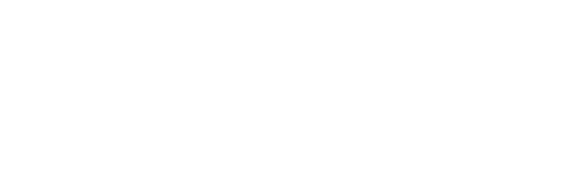 The Luxury Auto Club